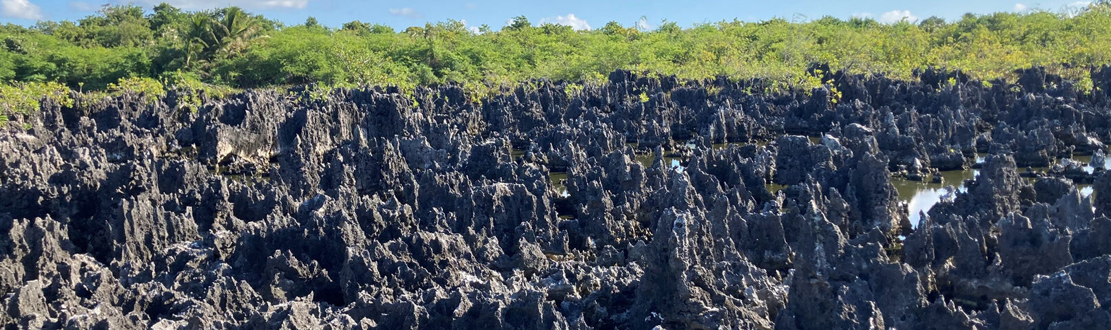 Black Limestone Formations in Hell on Grand Cayman Island