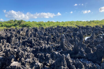 Black Limestone Formations in Hell on Grand Cayman Island