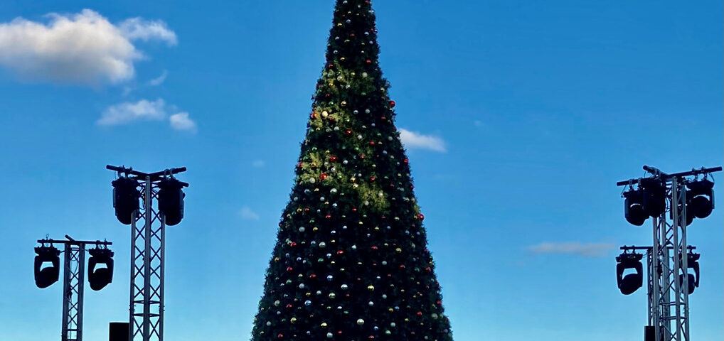 Holiday Tree Lighting on Grand Cayman Island