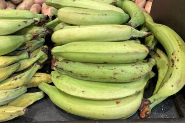 Green Plantains for Sale on Grand Cayman