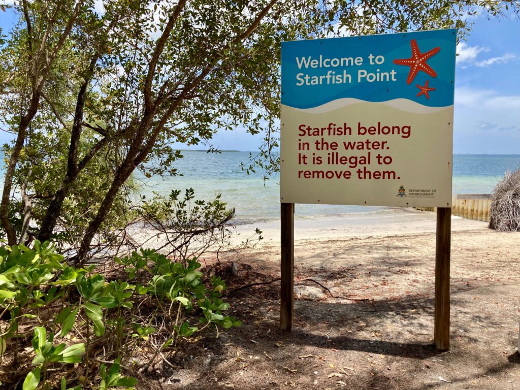 Starfish Point on Grand Cayman Island.