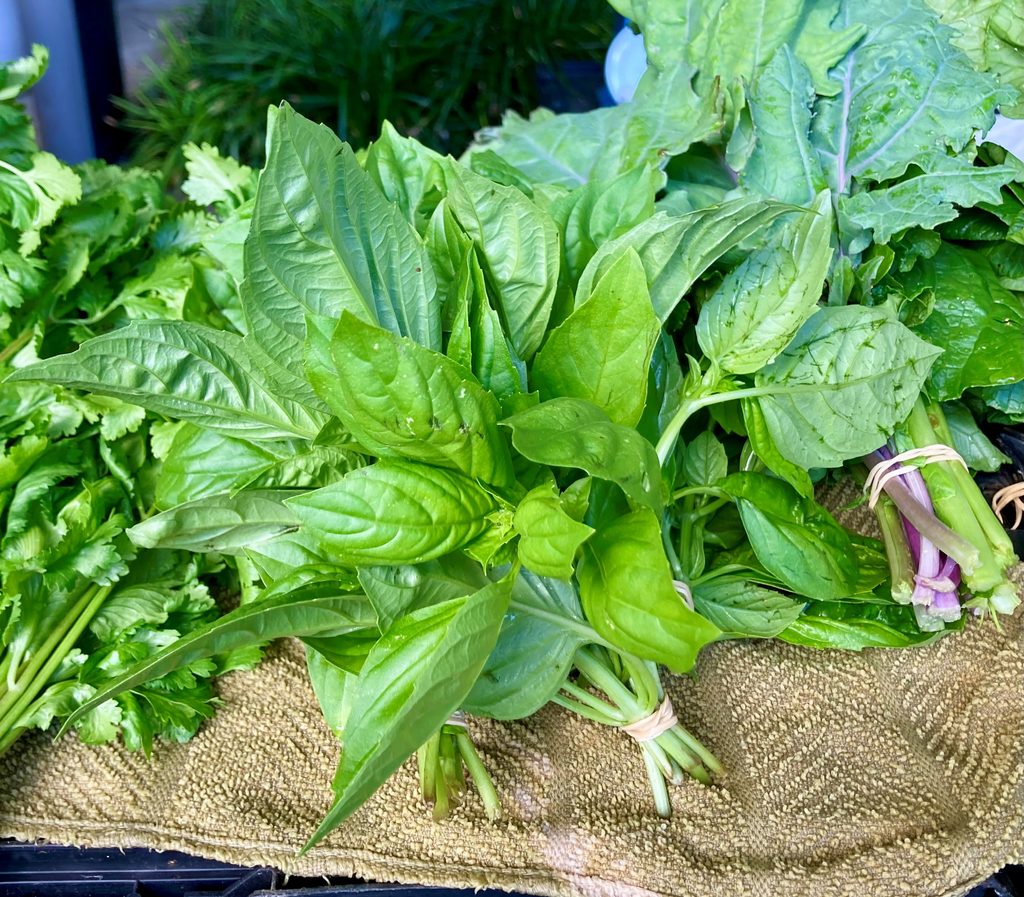 Patrick's Basil from Cayman Farmers Market on Grand Cayman Island.